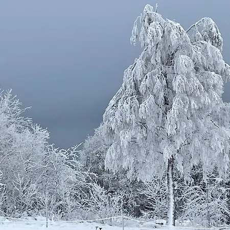 Apartman Feldhaus 14