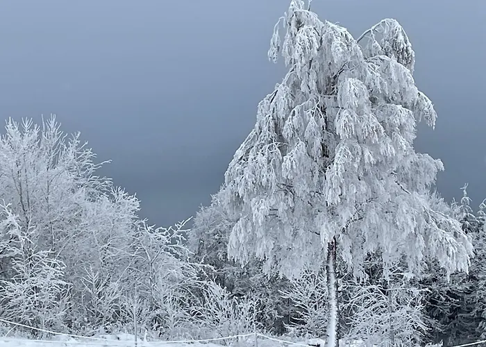 Apartment Feldhaus 14