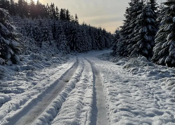 Apartment Feldhaus 14