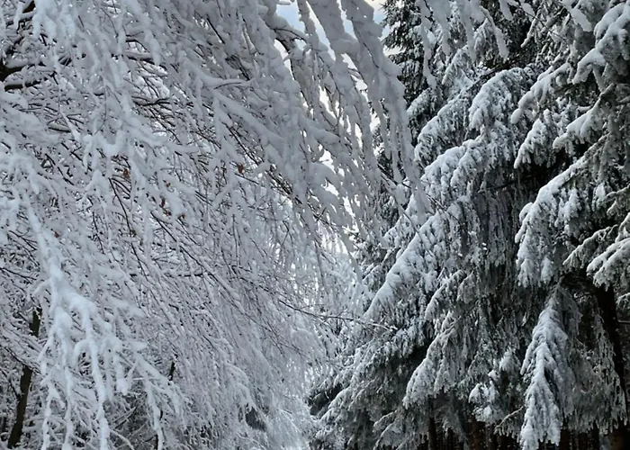 Apartment Feldhaus 14